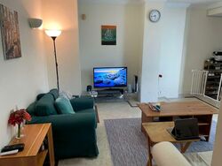 Leedon 2 (D10), Condominium #589629401